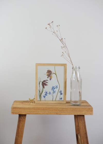 Kleine Droogbloem Lijsten