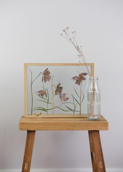 Grote Droogbloem Lijsten