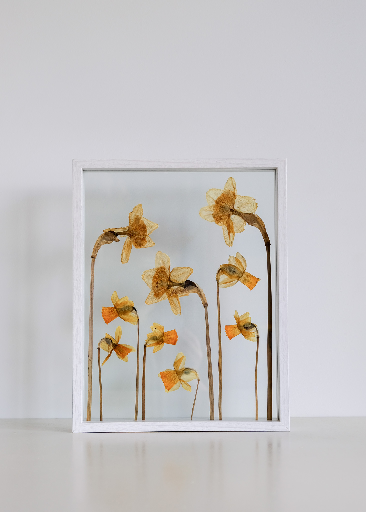 Big Flower Frames - FynBoschDesign