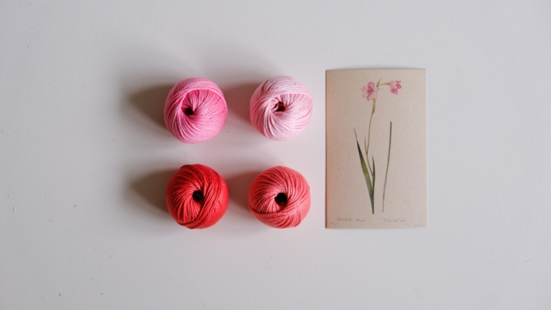 gladiolus pink cotton yarn diy