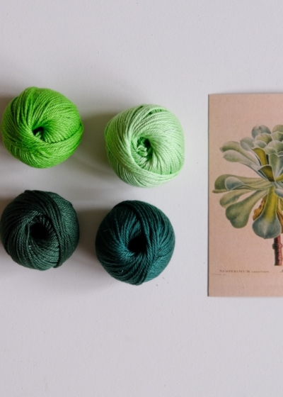 succulent green diy cotton kit