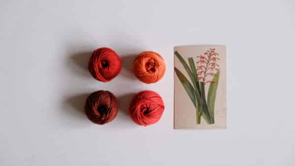 Antholyza Orange DIY Cotton Yarn Bundle