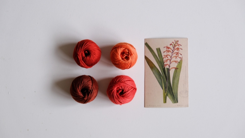Antholyza Orange DIY Cotton Yarn Bundle