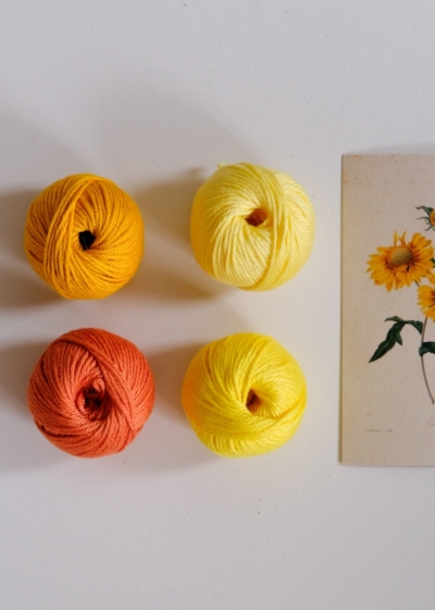 Gaillardia Yellow cotton