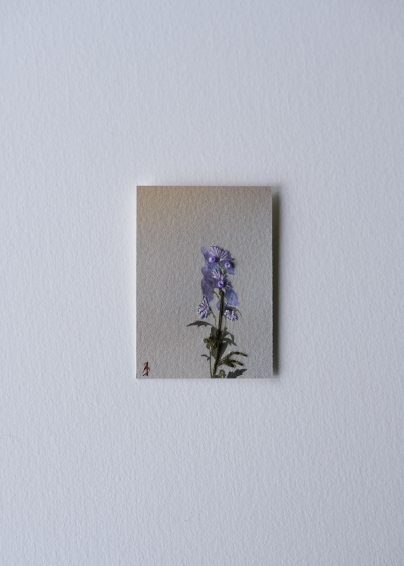 Monks hood Miniature Embroidered floral photographs. Thread, beads and Paper. Flower art. Affordable art.