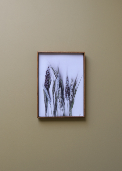 Embroidered floral photographs. Thread, beads and Paper. Mermaid Grass, Uithoorn The Netherlands